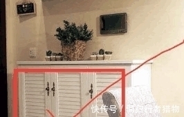 教训|后悔当初没听亲戚劝, 新房装修犯下14个错误败笔! 花钱买教训啊