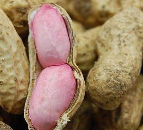 好处|坚持吃花生,这4个好处会缠上你,尤其是孩子和老人要经常吃