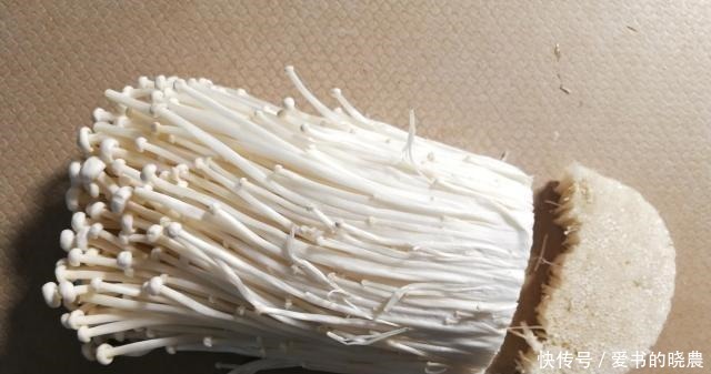 金针菇是一种简单美味的开胃菜下饭,满足一个人的渴望