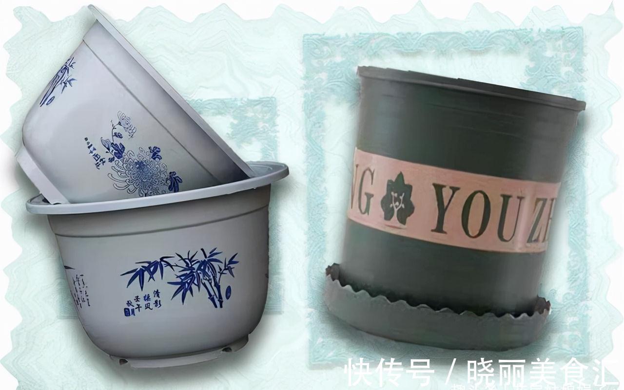 养花新手时常犯的5个养花错误，看似很美丽，实际很费钱