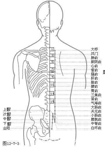 一条线|华佗松筋健康法夹脊穴养护心肝脾肺肾,比膀胱经的作用更明显