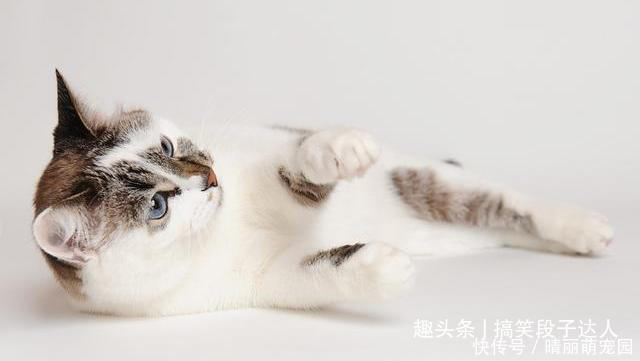 |搞笑段子:陪女客户爬山,问她坐会吧,她环顾四周,说了句