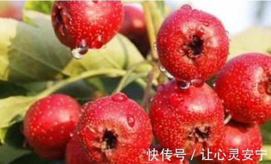 老少皆宜|高血压吃这几种水果,降压效果显著,很多人还不知道,看你吃过没