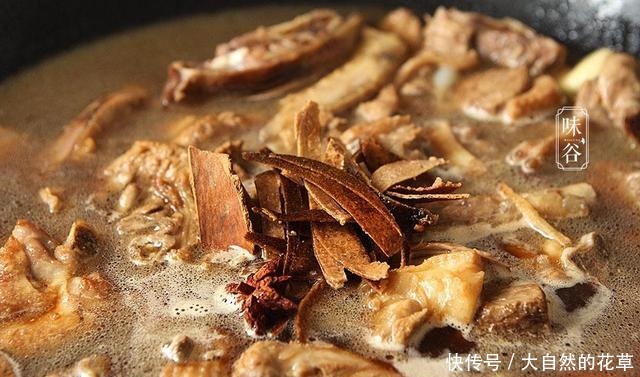 今日入伏,记得多吃这肉,比牛羊肉强,解馋不上火,焖一锅特馋人!