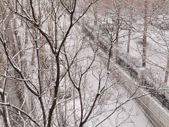 2022年济南第一场雪！漂亮的雪景请你欣赏