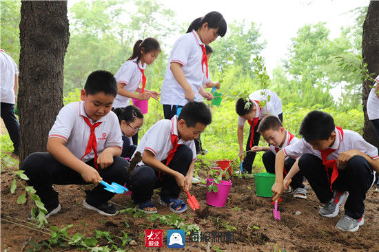 传统文化|沉浸传统文化 岜山集团以传承之心成就研学之路