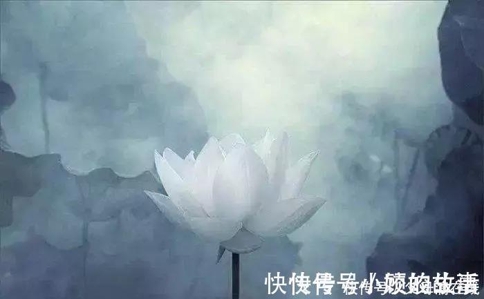 心阳|养心是夏季养生的主旋律,此时如何养心护心?