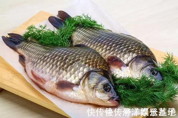 鲢鱼|孕期吃鱼“有讲究”,这3种鱼最好少吃或者不吃,对胎儿有危害