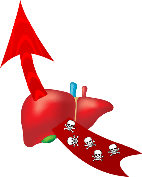 转氨酶|献血时会出现的“意外”→_→献血时检测 转氨酶高 是怎么回事