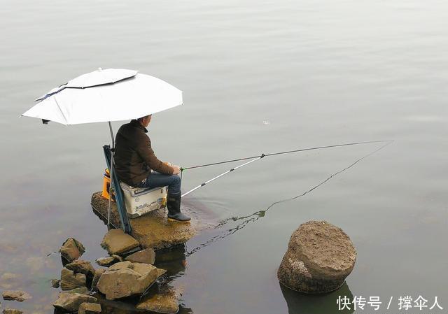 垂钓的钓竿|野钓,黑坑和竞技钓竿的核心在于垂钓特性---皇禾钓具