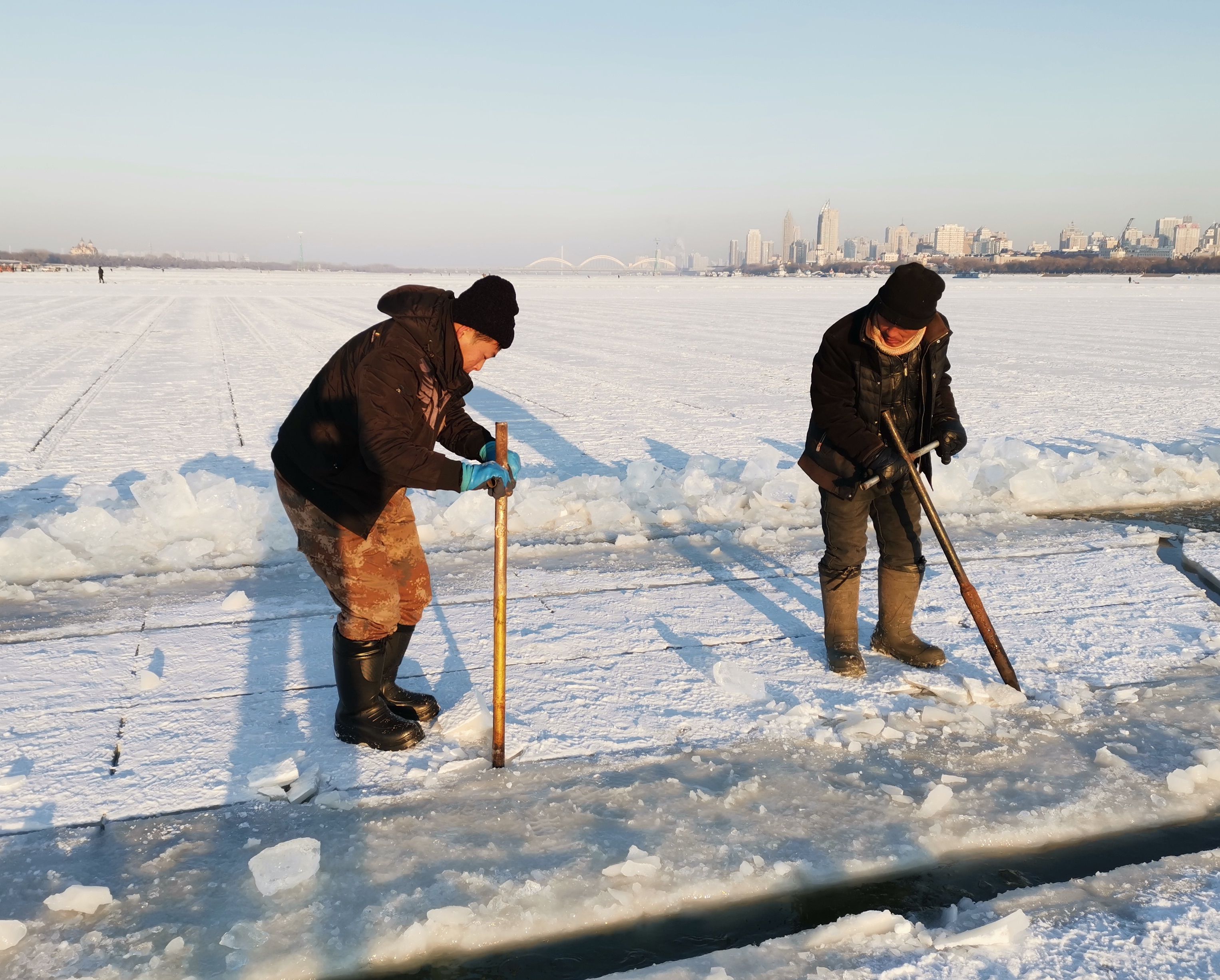 冬季|起冰啦！哈尔滨开建冬季大型冰雪乐园