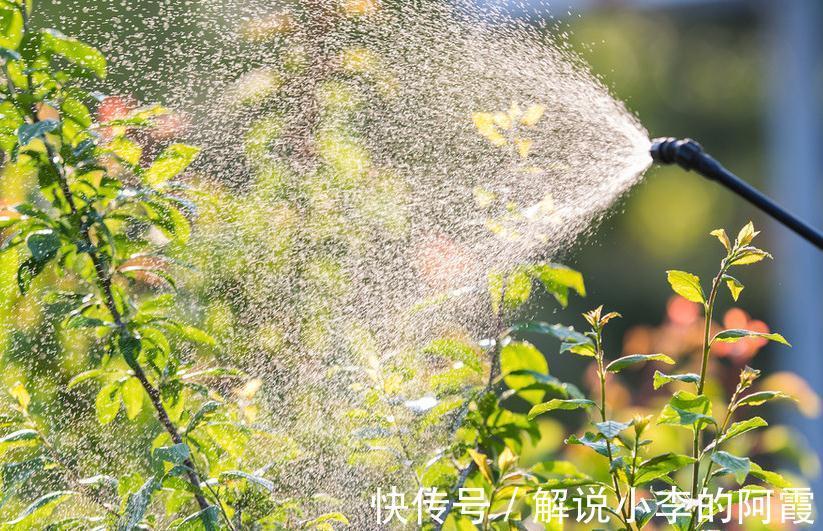 家里养花使用杀菌剂,这些别乱用和混用