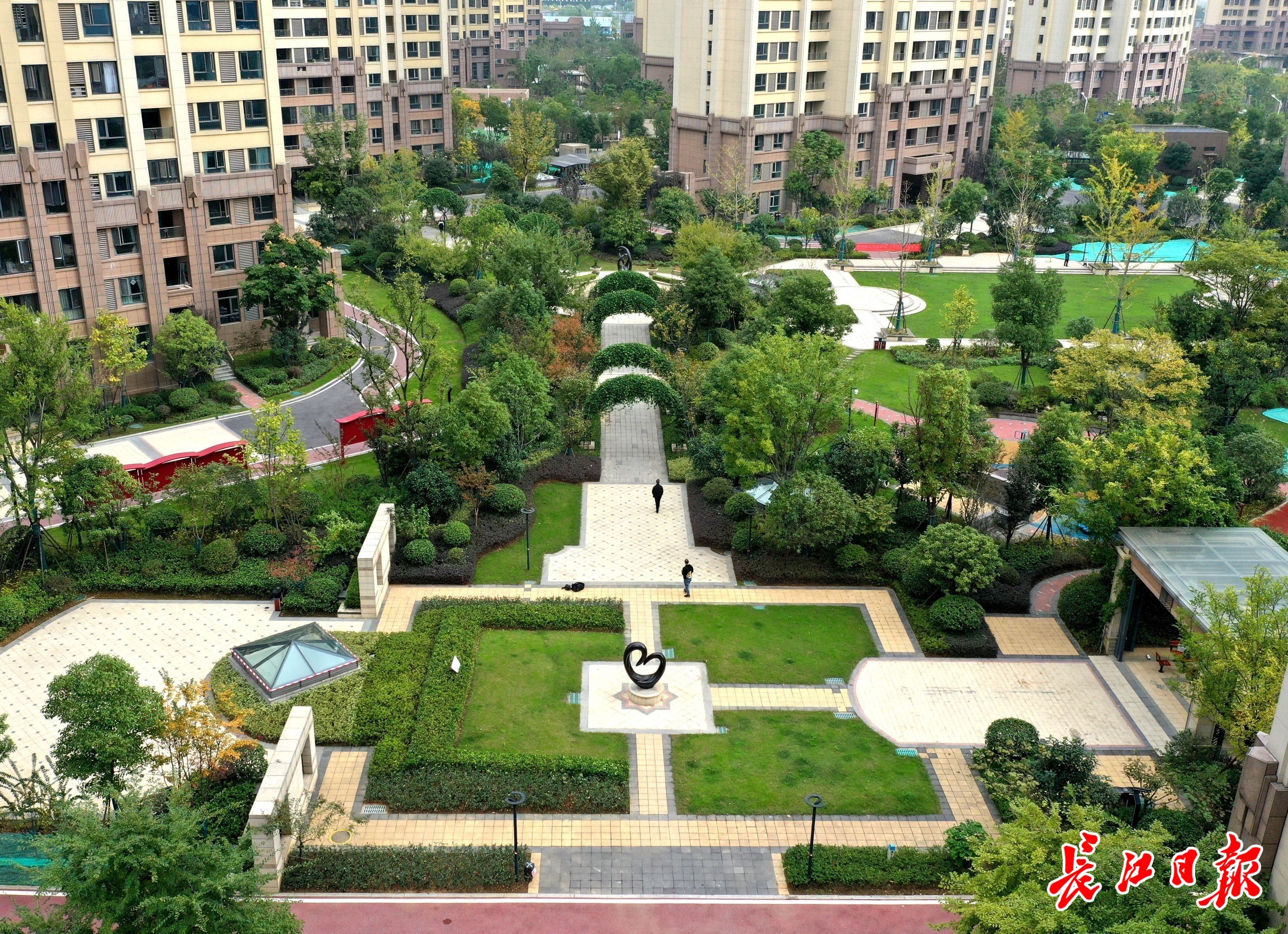 罗丹妮|“租得起住得好，不用跑腿”，汉阳这批困难家庭提前3个月住进公租房