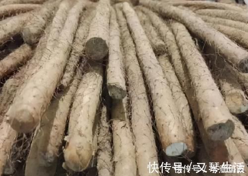 粗细|买山药,挑粗的还是细的?学会这3招,优质山药轻松拿下!
