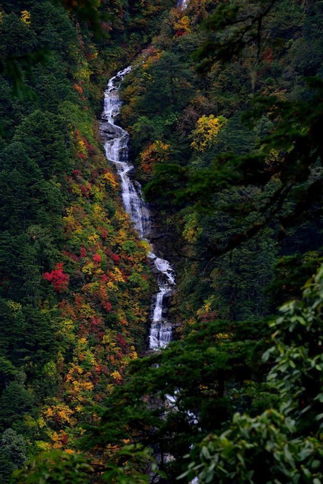 这是令人心驰神往的高黎贡山