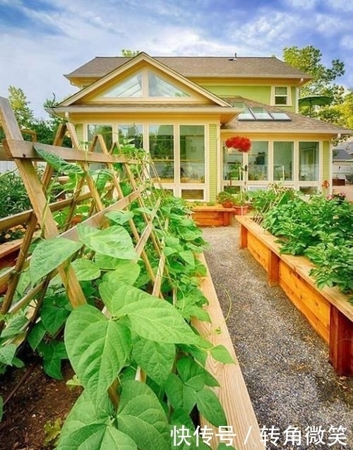 想有个带院子的房子,看花开叶落一辈子,让生活变成一件浪漫的事