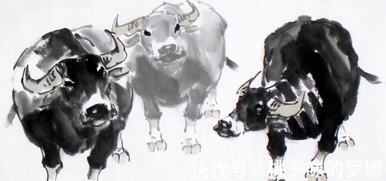 横财|11月1号开始财运大爆发,运势相伴,财源广进,喜事接二连三