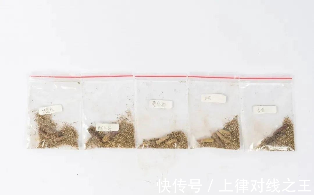 长筒花是“室内花量王者”,没光也能开爆盆,阳台党福音