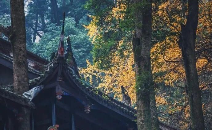  道教|上善若水……不善者，吾亦善之