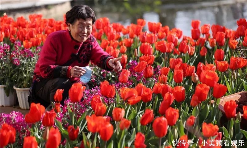 一条街|春城春意浓，西山区赏花正当时