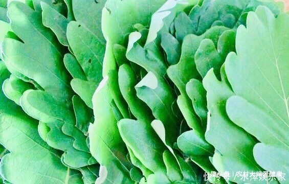 宁心安神|夏天将至，多食此“祛湿王”，祛湿气，清理子宫，防女性月经不调