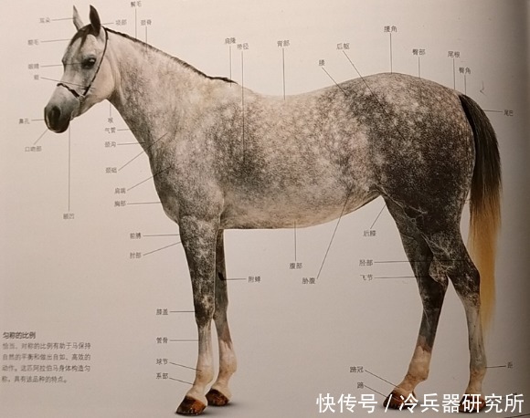 光秦兵俑有绿脸,马俑涂装也走结合风?秦始皇手办比唐三彩更精彩