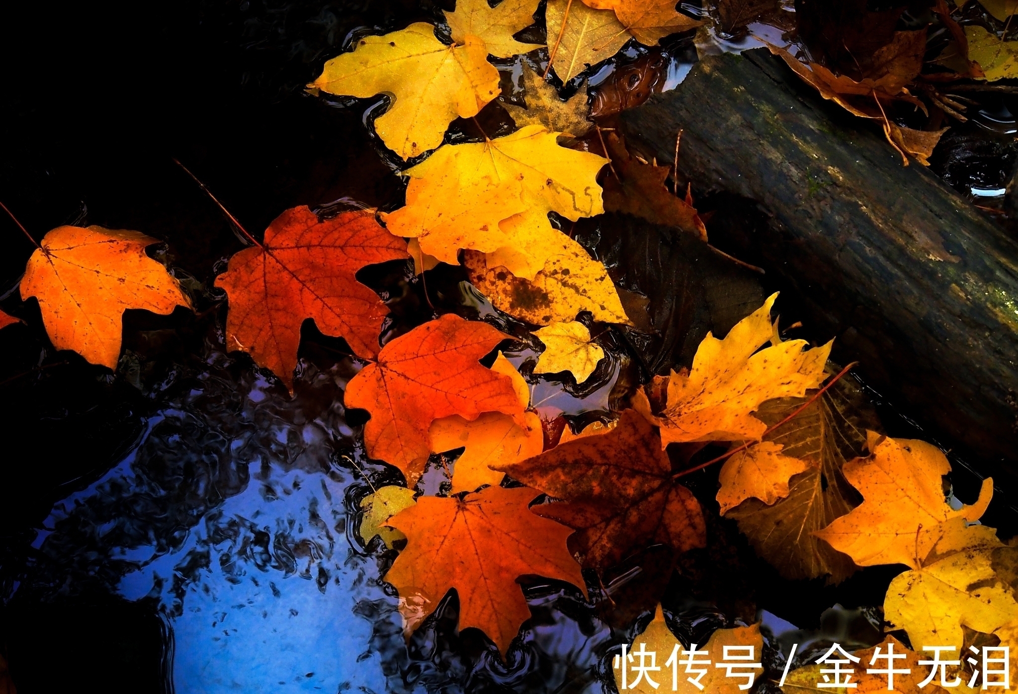 杜牧@一首很独特的唐诗,属于杜牧诗中的精品,读过的人并不多