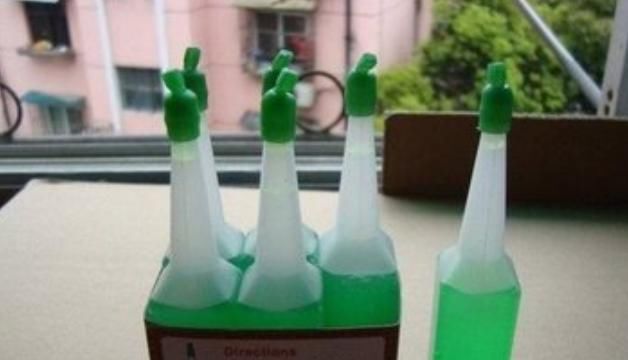 养不好马齿苋树,快用上“3种技巧”,越长越旺,不久成“盆景”