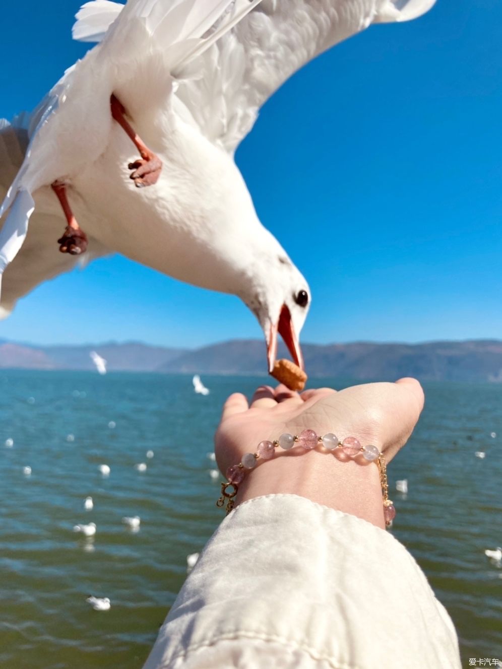 记录春节前勒川滇环线游记