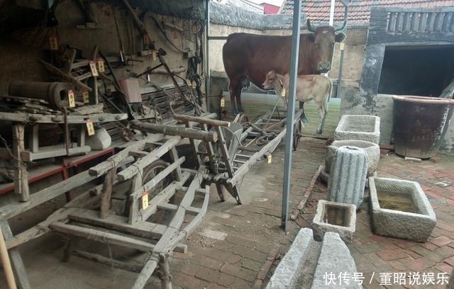 冬至|七律·冬至偶得