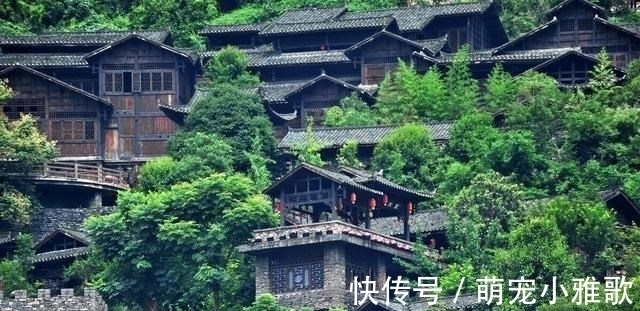 《中餐厅4》中的“高级鱼汤”，太鲜了，孩子连喝2大碗