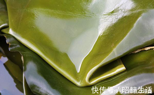 忌口|查出甲状腺结节,就不能吃海带了?专家:真正该忌口的是2种食物