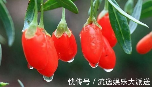 辣条|84岁钟南山饮食习惯,5吃5不吃,来看看有没有你爱吃的