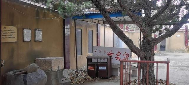 寻访历史遗迹,众多古人吟咏的汶河边取得重大收获