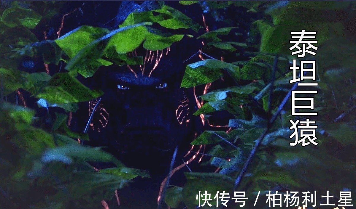 武魂殿|斗罗大陆独自面对两大封号斗罗,唐三真会撩人,让胡列娜脸红!