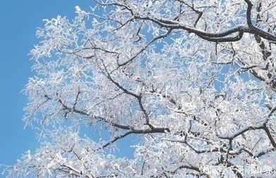 哲理诗@王安石的一首哲理诗,开篇就气势磅礴,全篇更令人耳目一新