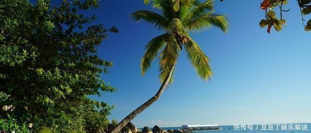 情侣|海南是我国最热门的旅游胜地，为什么情侣到了三亚一定会来这里