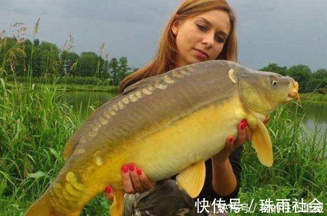 想钓好鱼饵料很关键,别再听商家忽悠了,这4点才是最核心的