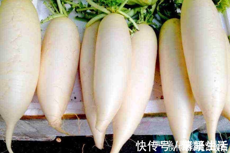 萝卜|做丸子时,不要再加面粉了!换成此物,丸子香软可口,吃着很细腻