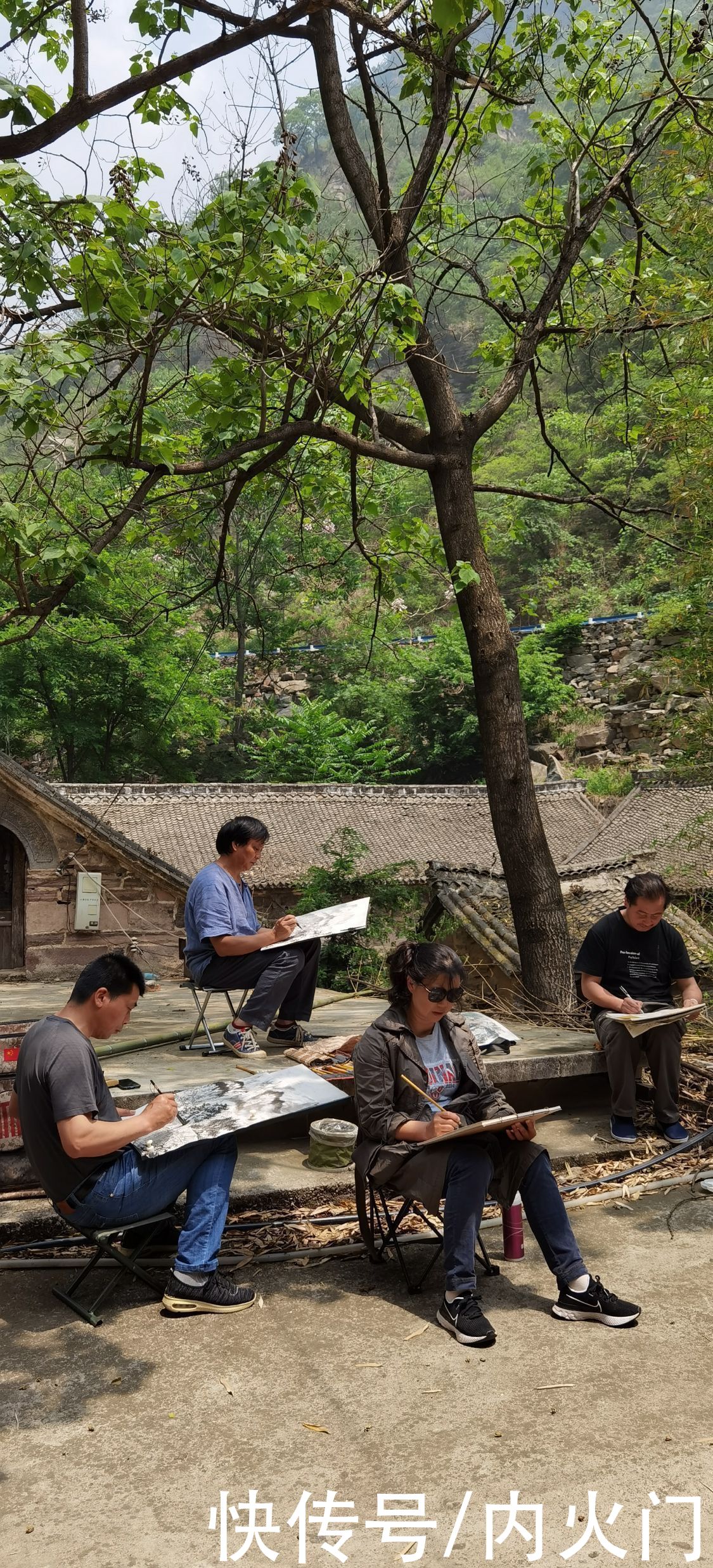 太行山|河南省花鸟画研究会走进太行山采风写生活动