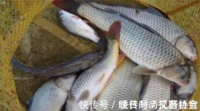 钓位|半天不上一条鱼,原来钓位选错了!这4处位置一定不要选