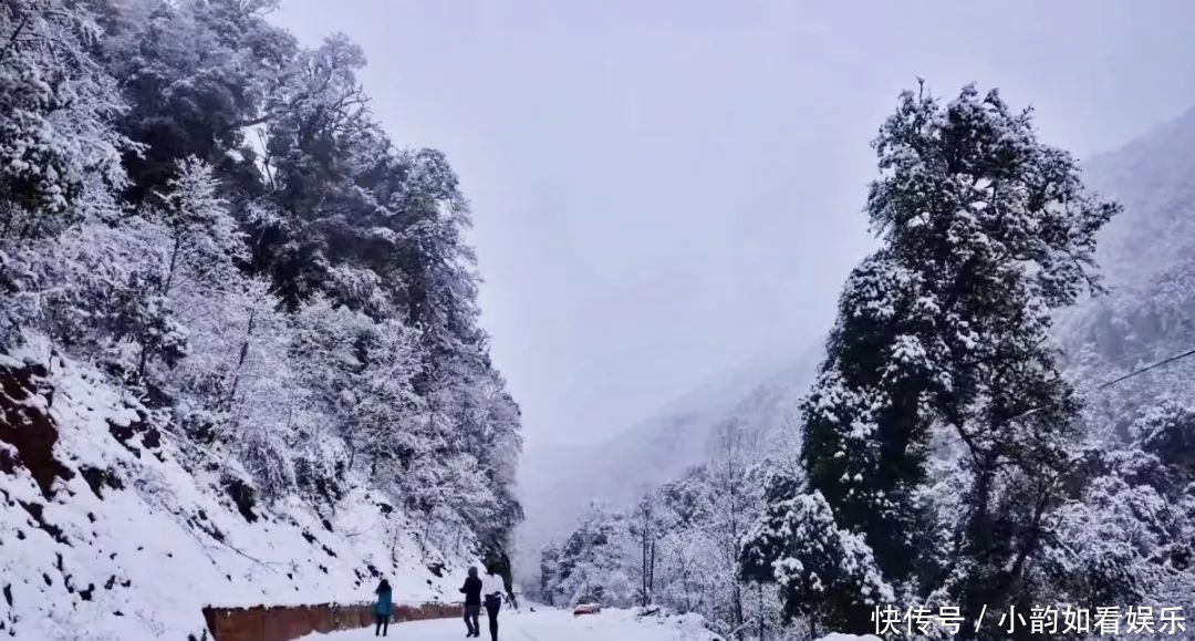 写意天池，童话天子山，一波云龙雪景美图来袭