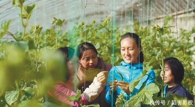 出国|石嫣：清华博士出国学种地，回国隐居深山11年，今父母认不出