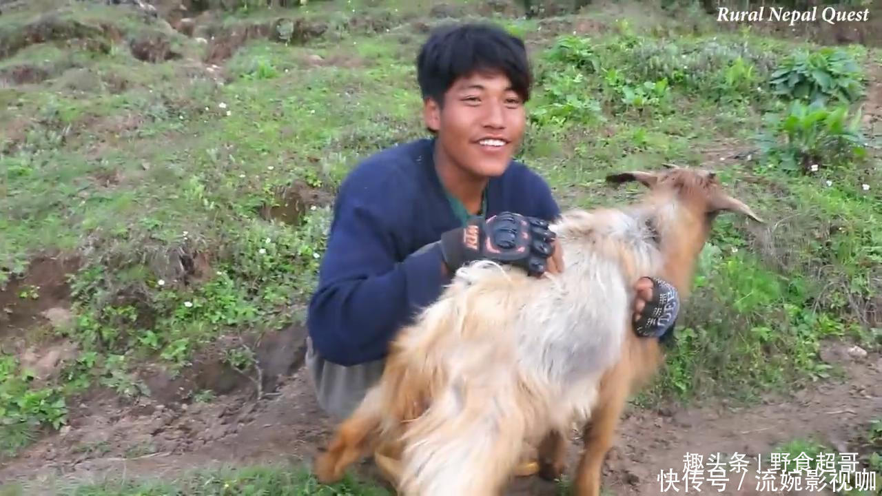 中国小伙在尼泊尔花8000卢比买下一头羊,请当地老人吃羊肉
