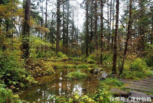 又美又神奇，然而却头号坑爹的景点，海螺沟必须榜上有名