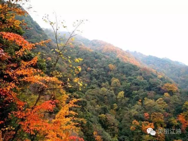 风动|【创建天府旅游名县】色在深秋，风动叶飘零，李白故里美色迷人，要你好看！