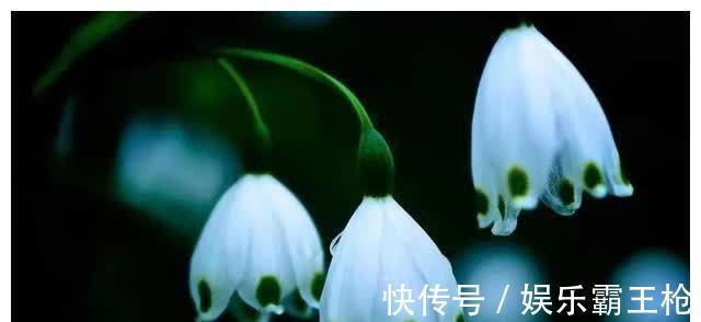 周而复!风浪来临时,最先崩溃的,是那群“快乐”的人