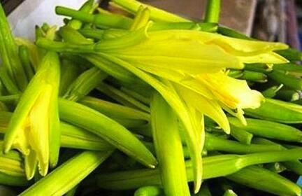 食鑒本草|這種菜比核桃還補腦，經常吃一點，有益血脂健康