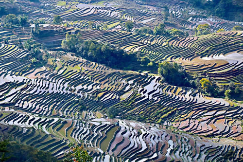 元阳坝达梯田景区，最佳日落观景点，可惜运气差了一点点