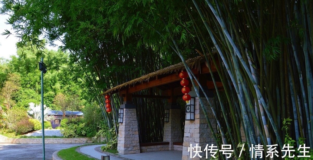 王徽之|清风在竹林,送你三首咏竹古诗,领略诗人高尚情怀